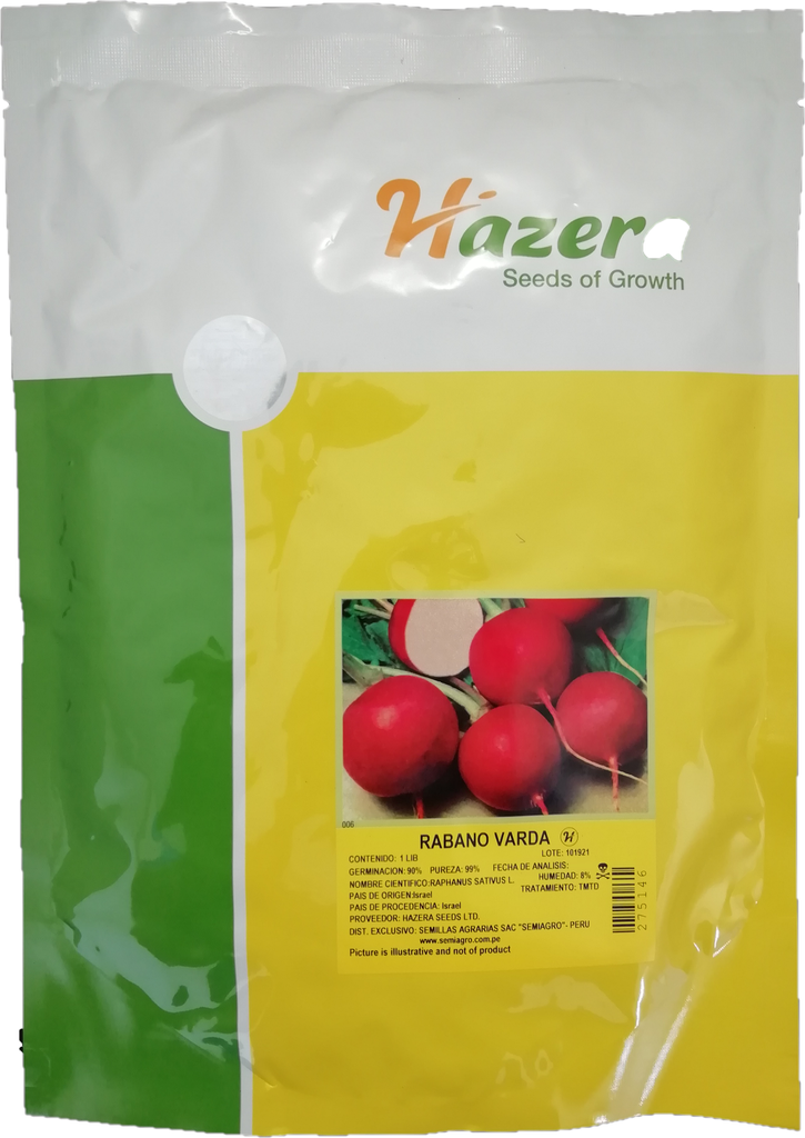 RABANITO VARDA X 1 LB HAZERA