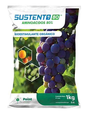 SUSTENTO 80% X 1 KG  (Aminoacidos)