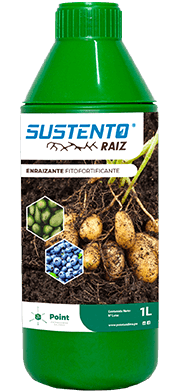 SUSTENTO RAIZ X 1 LT (Citoquininas+Auxinas)