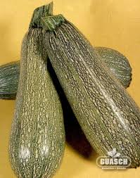 ZAPALLITO GREY ZUCCHINI X 500 GR BONANZA *