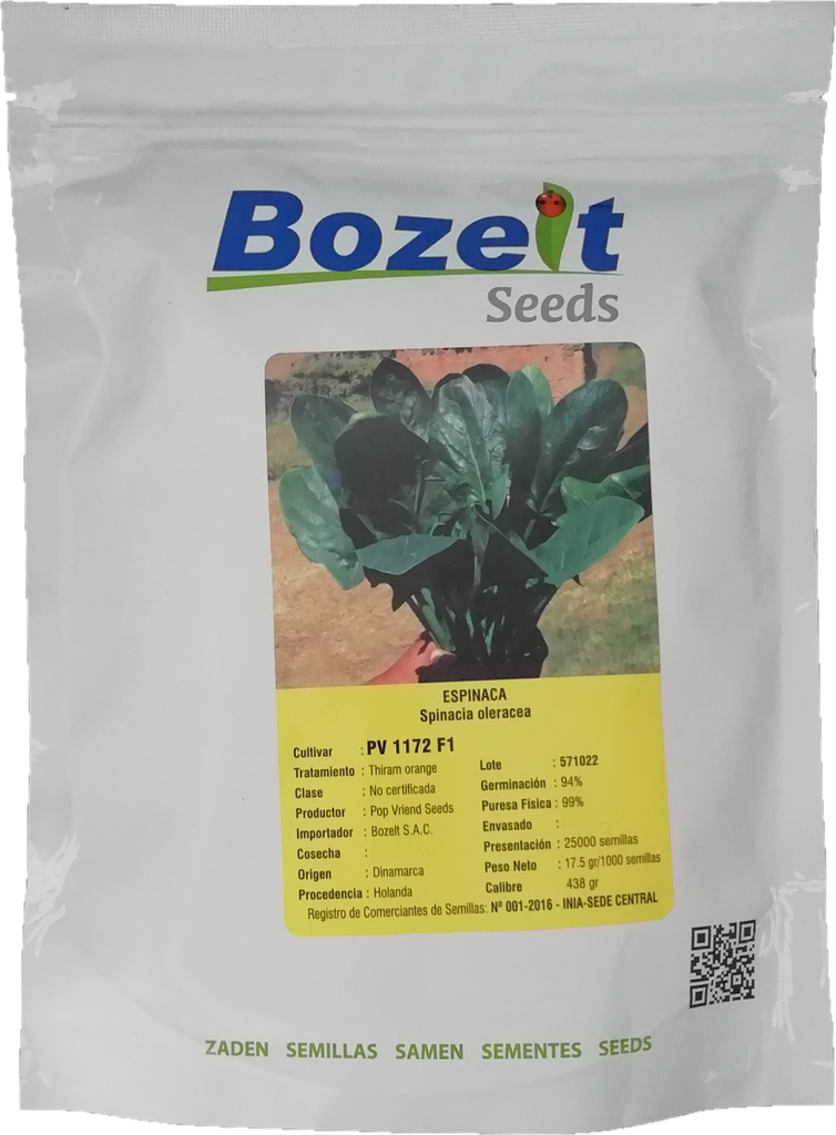 ESPINACA BOZELT X 25.000 SEM PV 1172 F1