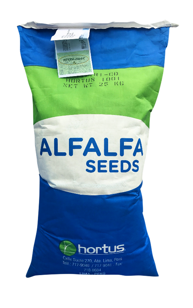 ALFALFA HORTUS 1001 X  1KG