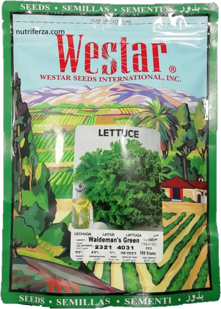 LECHUGA ORGANICA X 500 GR WESTAR *