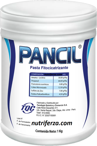 [2203] PANCIL X 1 KG (Pasta Fitocicatrizante)